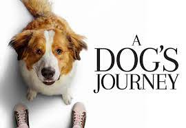 A Dog's Journey